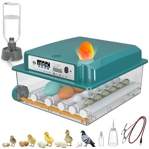 16 Eggs Incubators for Hatching Eggs with Automatic Turning and Humidification