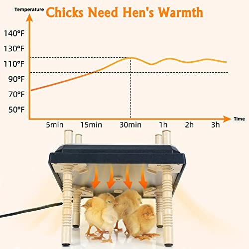 Brooder Heater for Chicks: Chick Brooder Heating Plate with Easy- Black-10x10