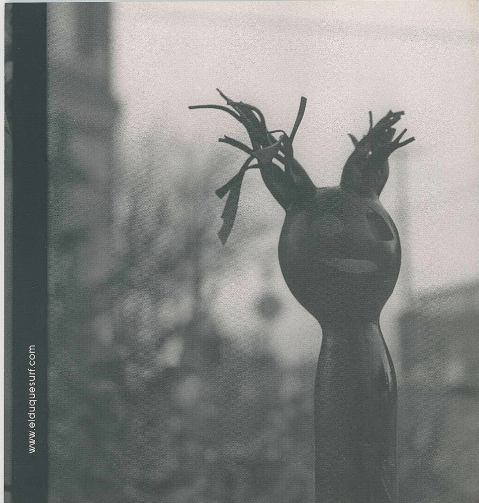 El Duque-Pacific Northwest Surf magazine