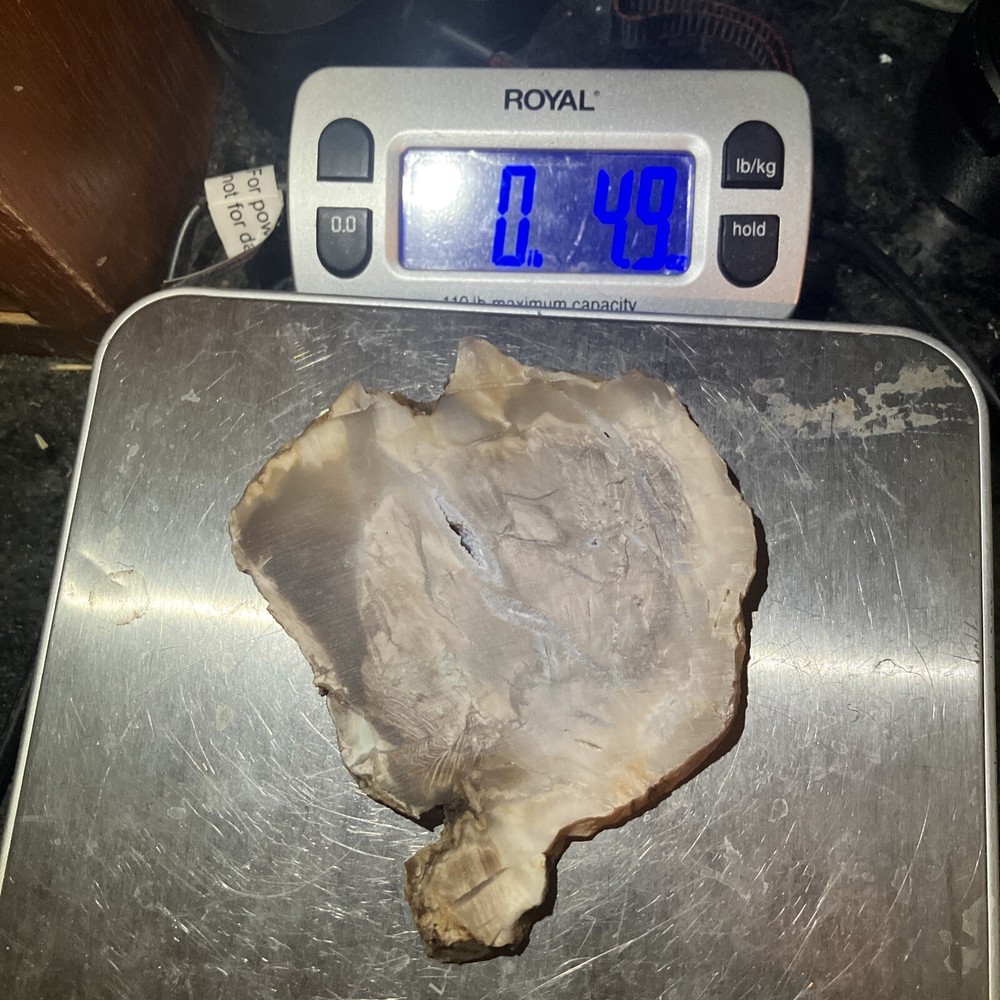 Petrified Wood Slab