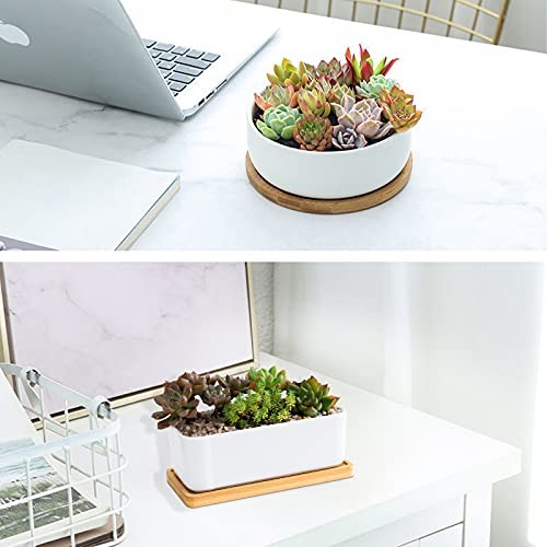 White Ceramic Succulent Plant Pots, 1 Rectangular Flower Pot Rectangular+round