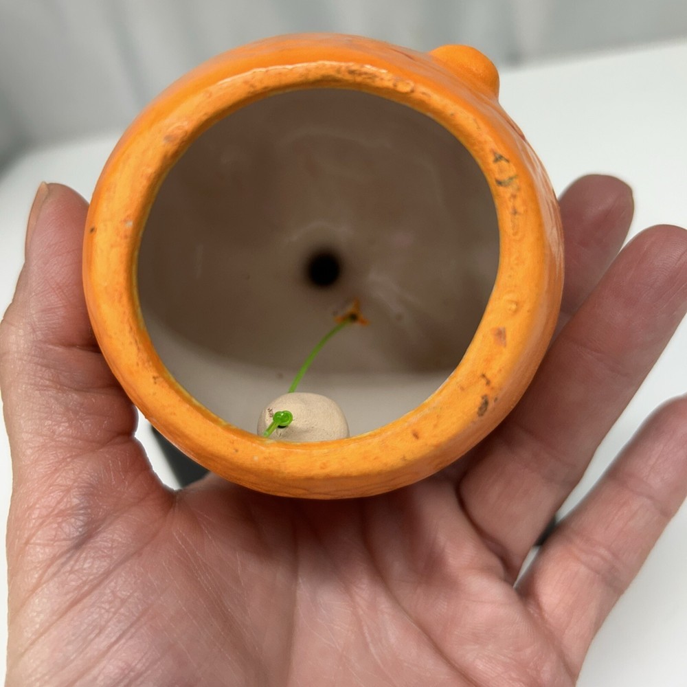 Vintage Anthropomorphic Smiling Florida Orange Bell Souvenir EUC!!