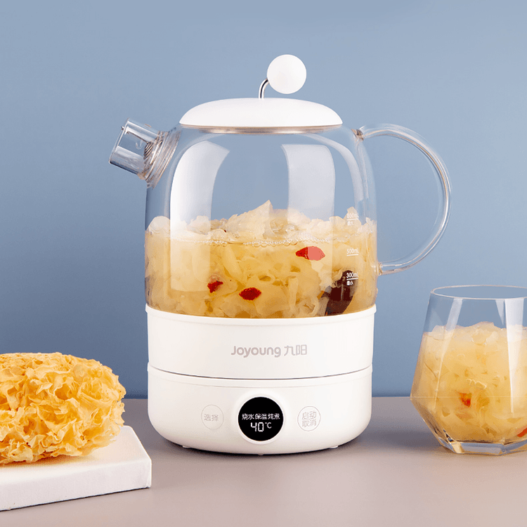 JOYONG Multi-Function Wellness Kettle - Automatic Herbal - Soup -Poridge cooker