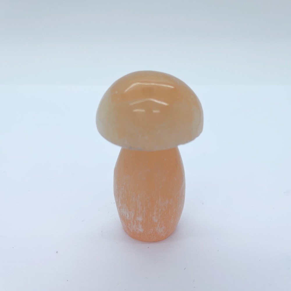 Selenite Crystal Mushroom $35