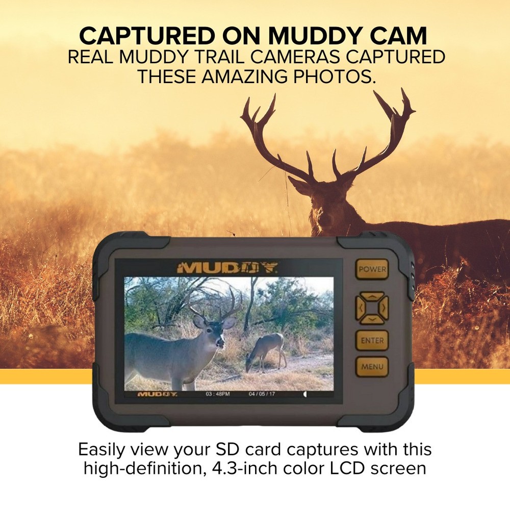 Muddy 4.3 Inch LCD Screen SD Card Reader Viewer (4 Pack) Memory Card Bundle