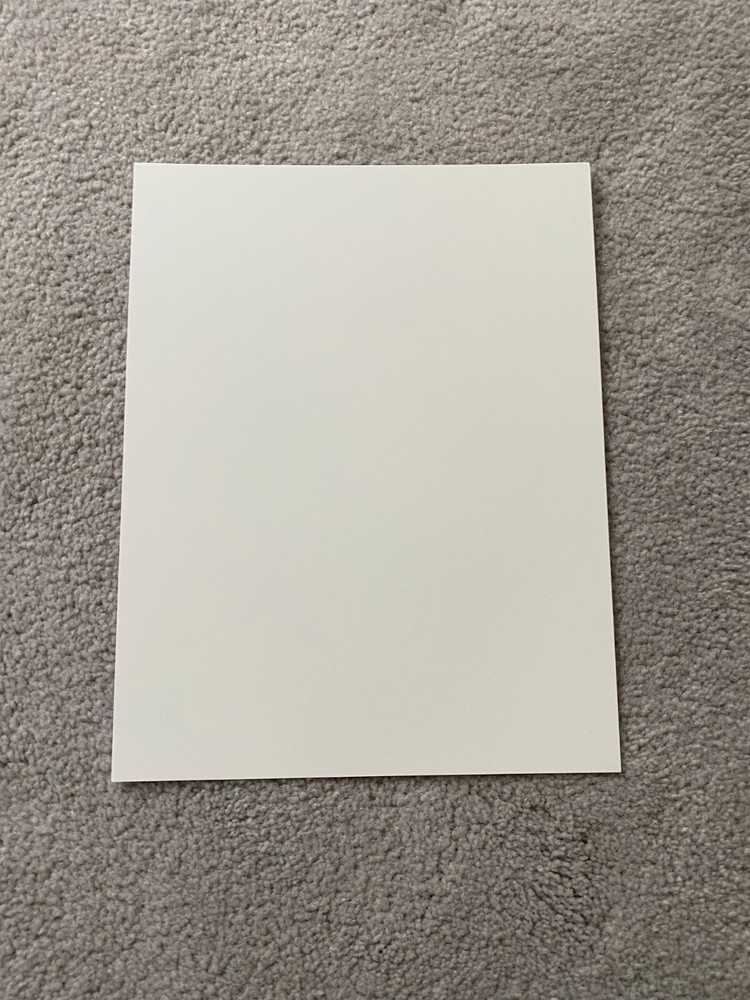 10 SHEETS - 8 3/8" x 10 3/4" SBS Solid White Chipboard (20pt)