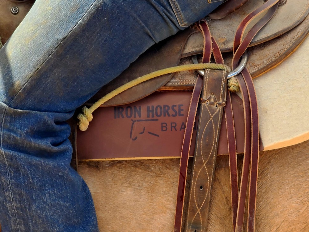 1" Pressed Wool Saddle Pad w/ real wear leathers