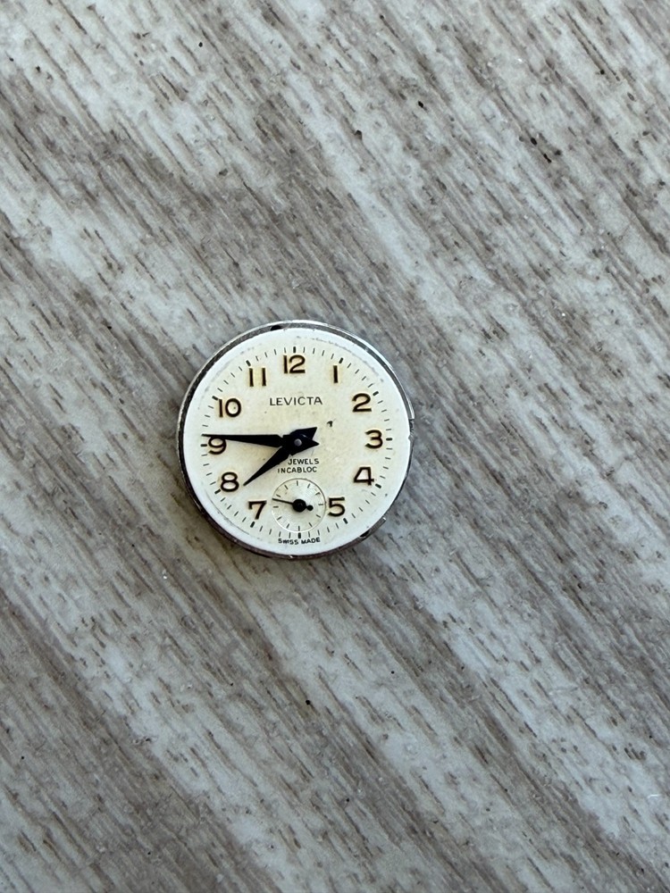 Levicta Watch Movement