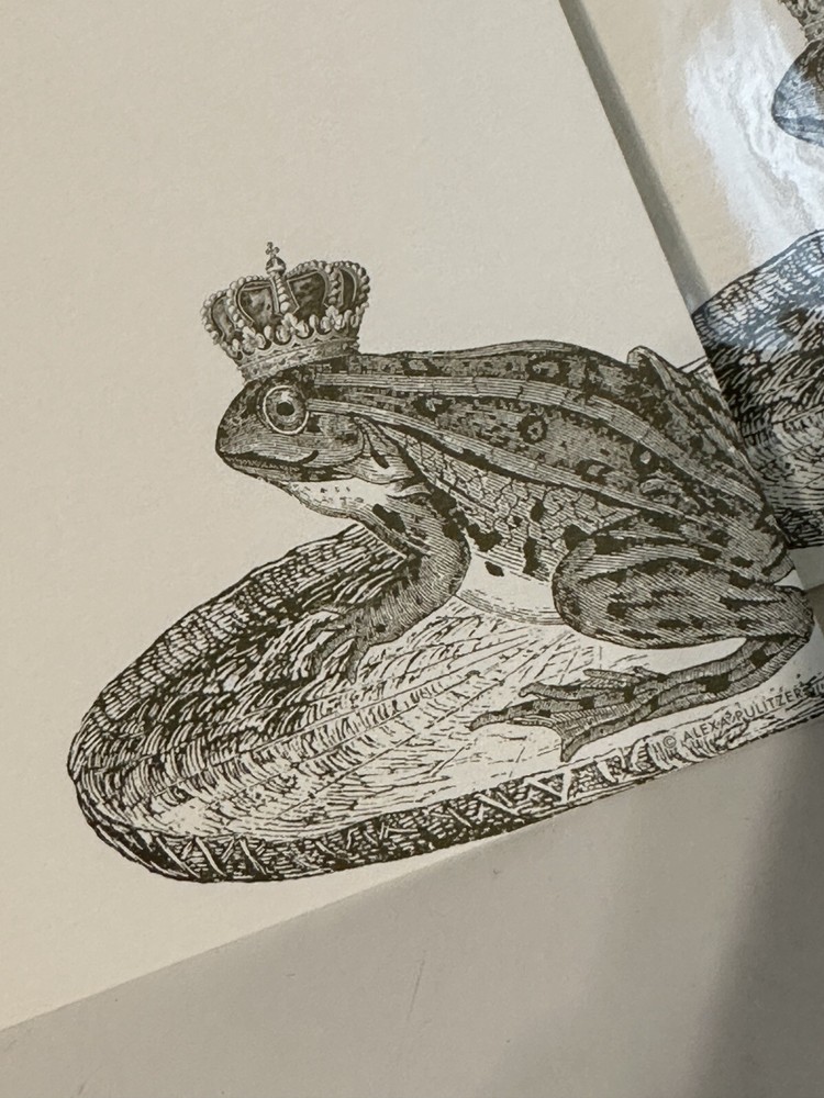 Alexa Pulitzer | 9 Notes & 9 Envelopes | CROWNED FROG