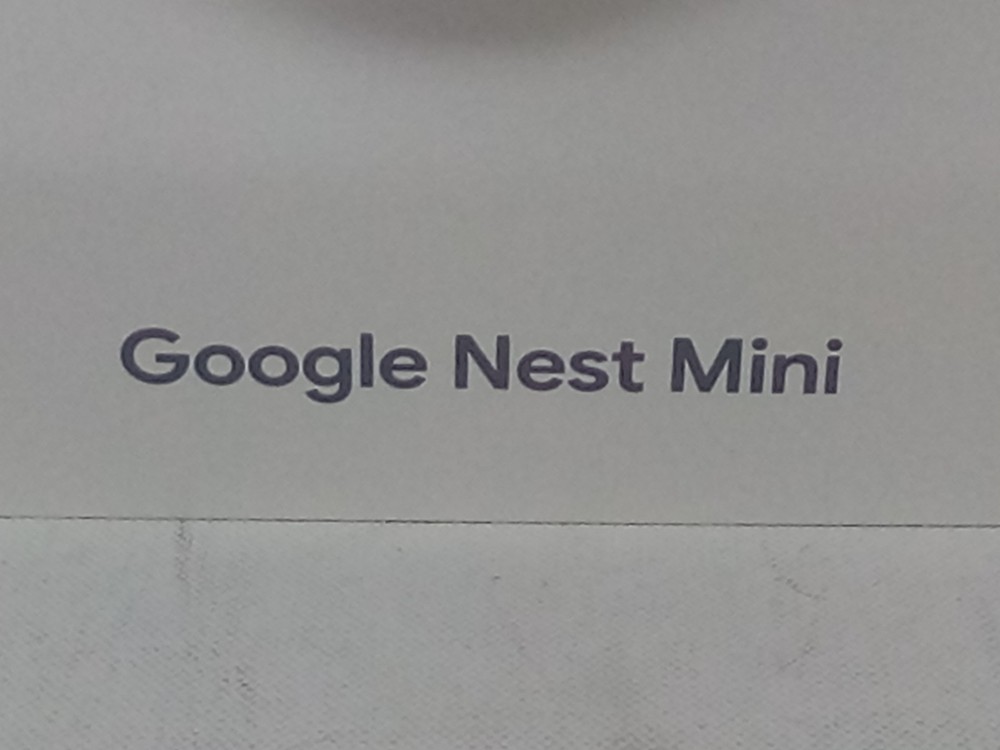 Google Nest Mini- mountable
