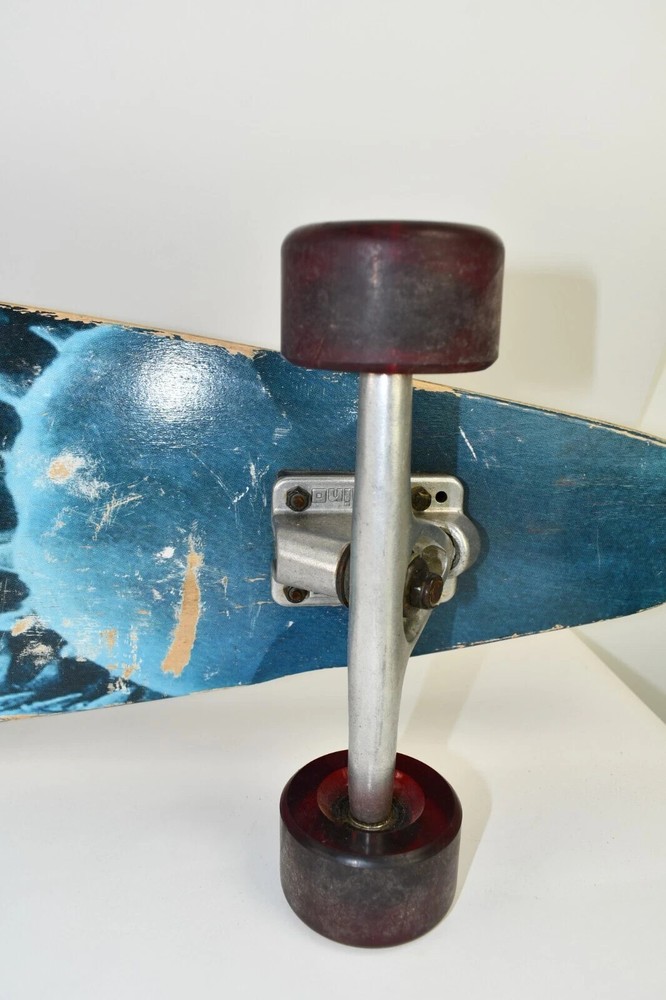 San Clemente Shark Week Skateboard