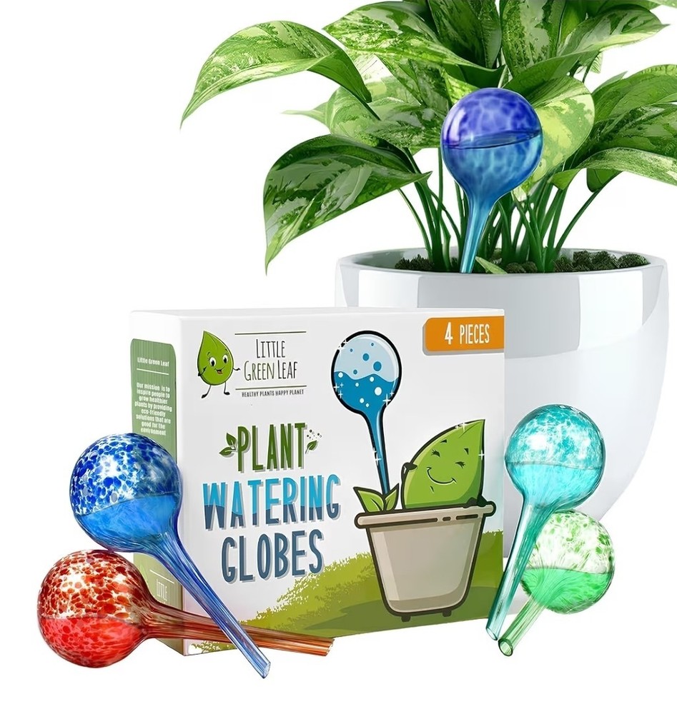 plant water globes