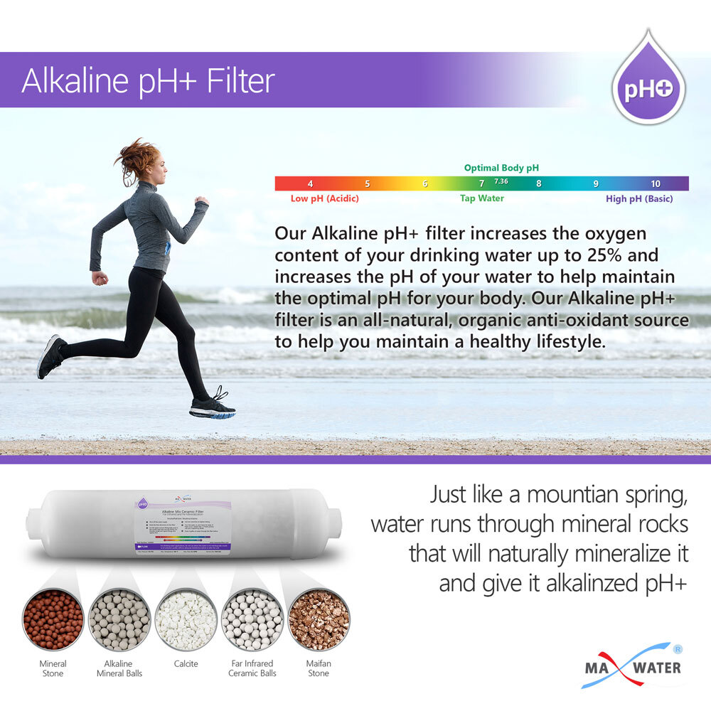 Alkaline Filter – Mineral Water Filter Replacement – Inline Filter 2 Pack