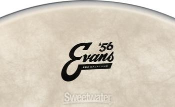 Evans EQ4 Calftone Bass Drumhead - 22"