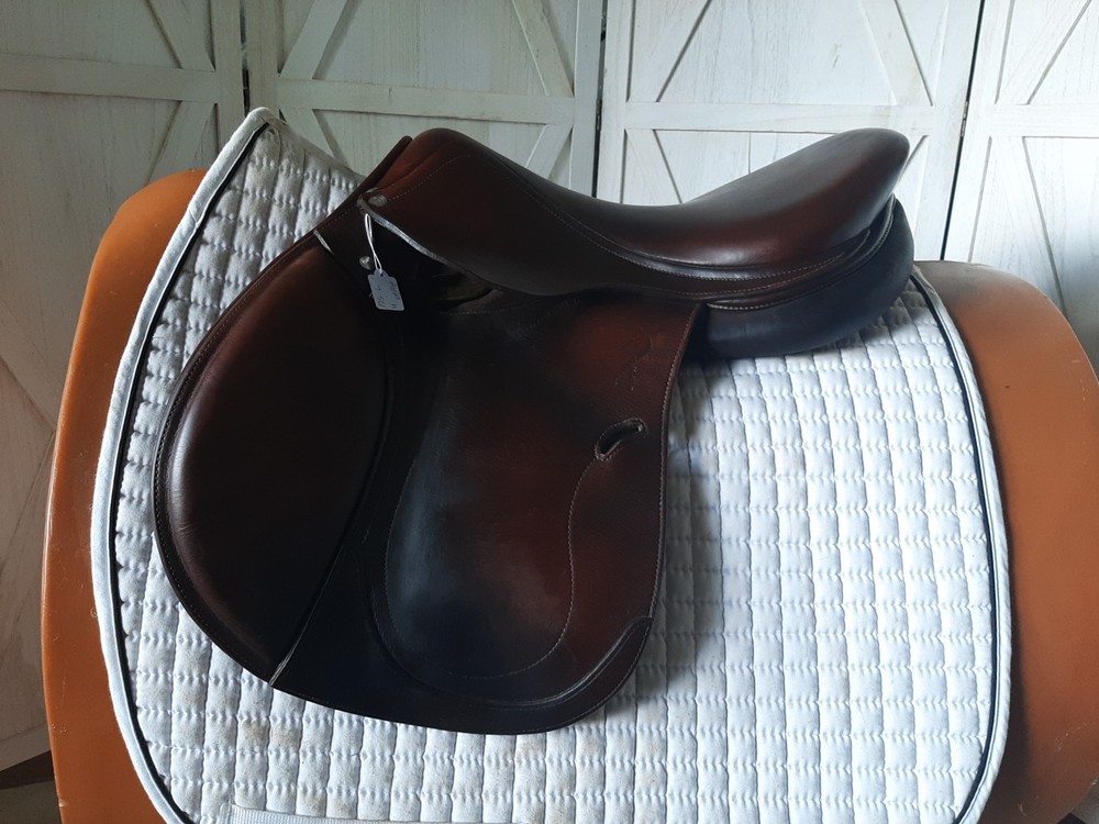 Antares Evolution Jump Saddle 17.5"