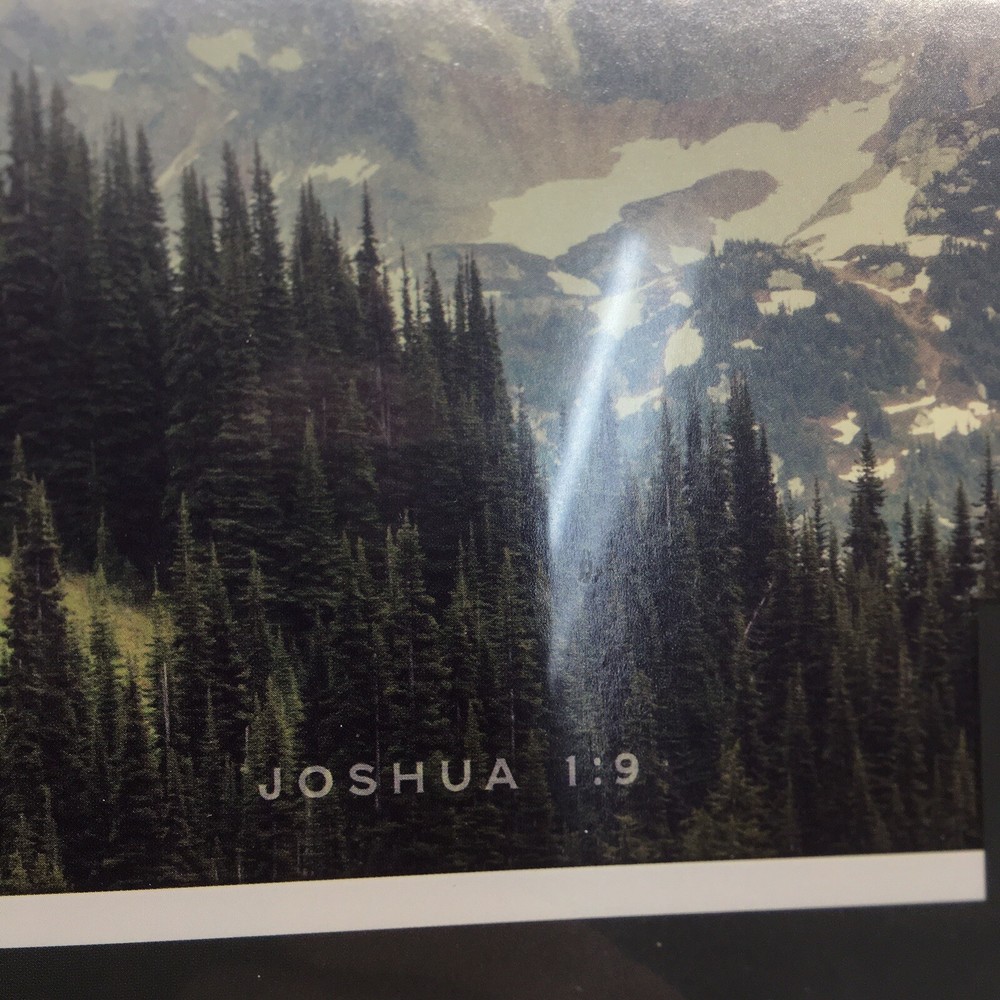 North Cascade Range Washington Be Strong & Courageous 500 Pc. Puzzle - Read