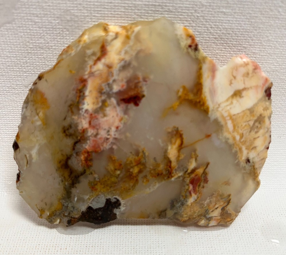 Regency Rose Plume Agate 48gm Lapidary Slab