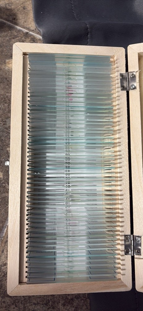 AmScope Microscope And Prepared Slides
