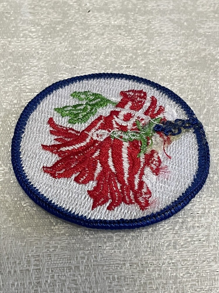 Georgia National Guard Patch , New