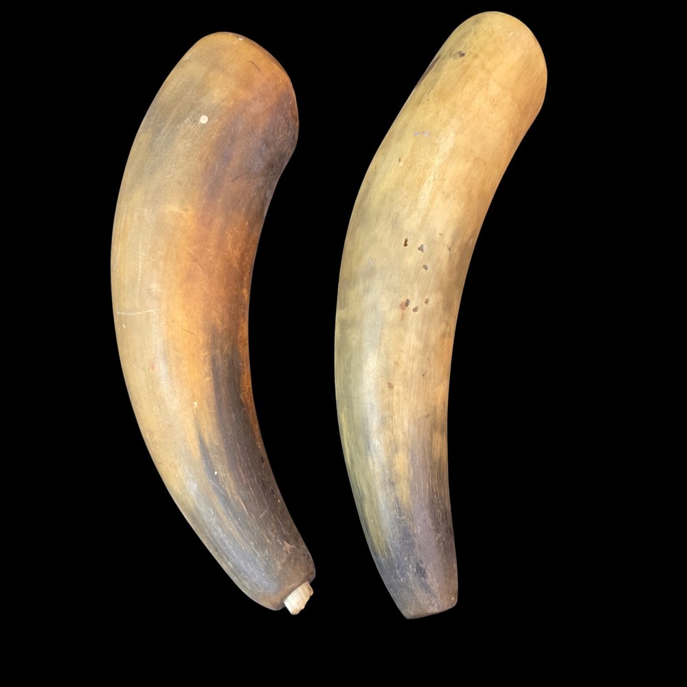 Antique Powder Horns