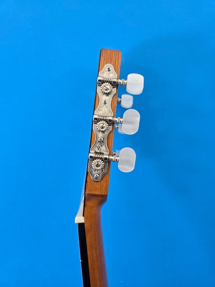 GeronimoGarcia Concert Classical Guitar