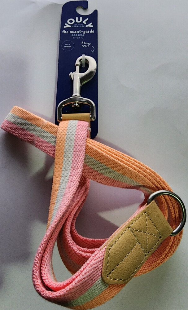 YOULY Creamsicle Dog Leash, 6 ft.
