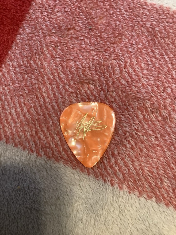 Staind Guitar Pick