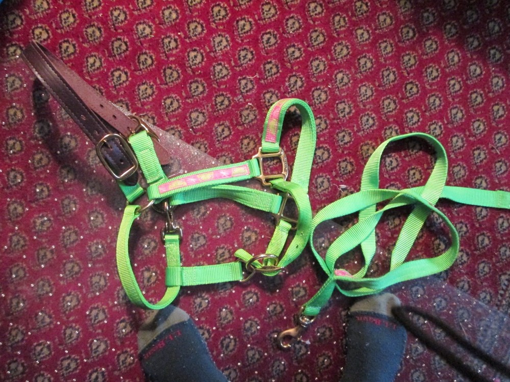 Perri's Halter and Lead Rope NWOT