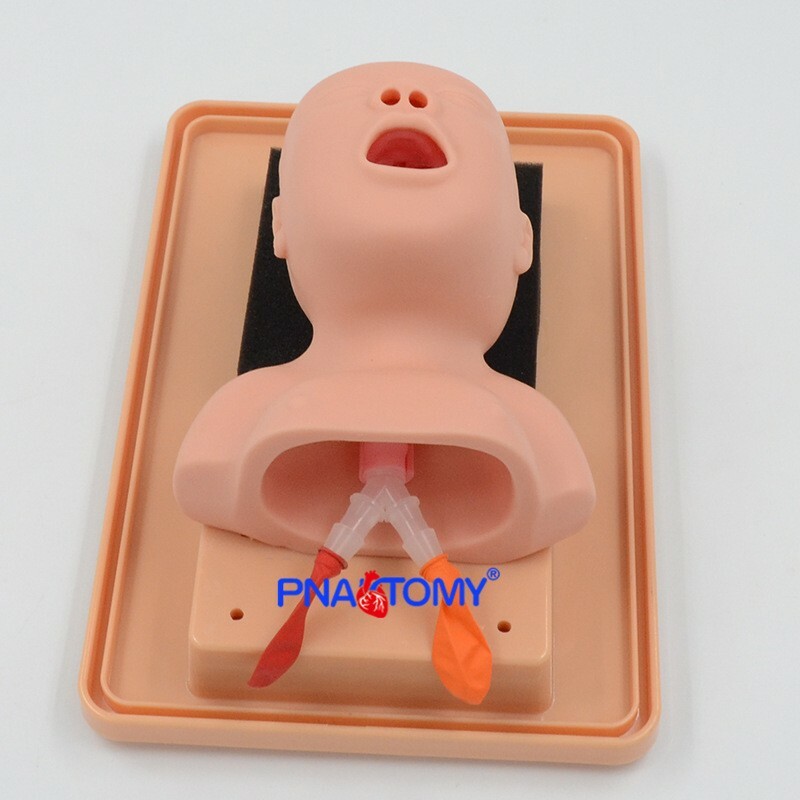 Newborn Neonatal Tracheal Intubation Training Model