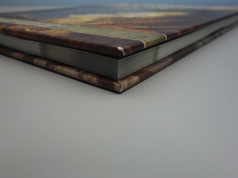 Dungeons & Dragons, D&D: Forgotten Realms Player's Guide (4th Ed)