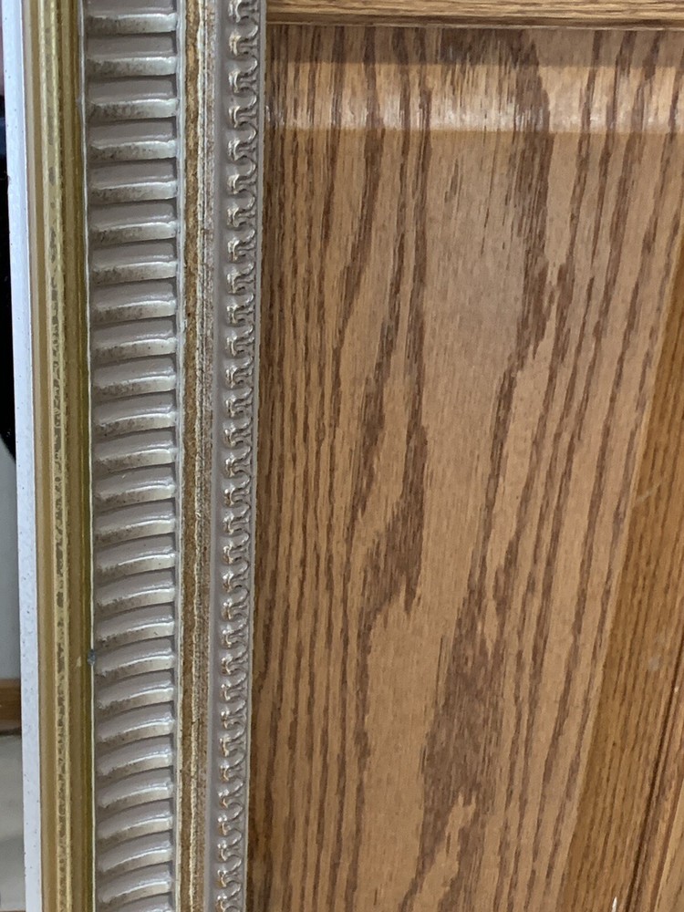 Vintage Ornate 25” X 14” Mirror