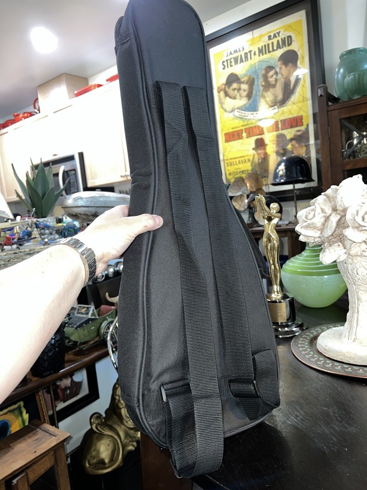 Aileen CSV102 Basic Lightweight Suspension Violin Black Zip Hard Case backpack