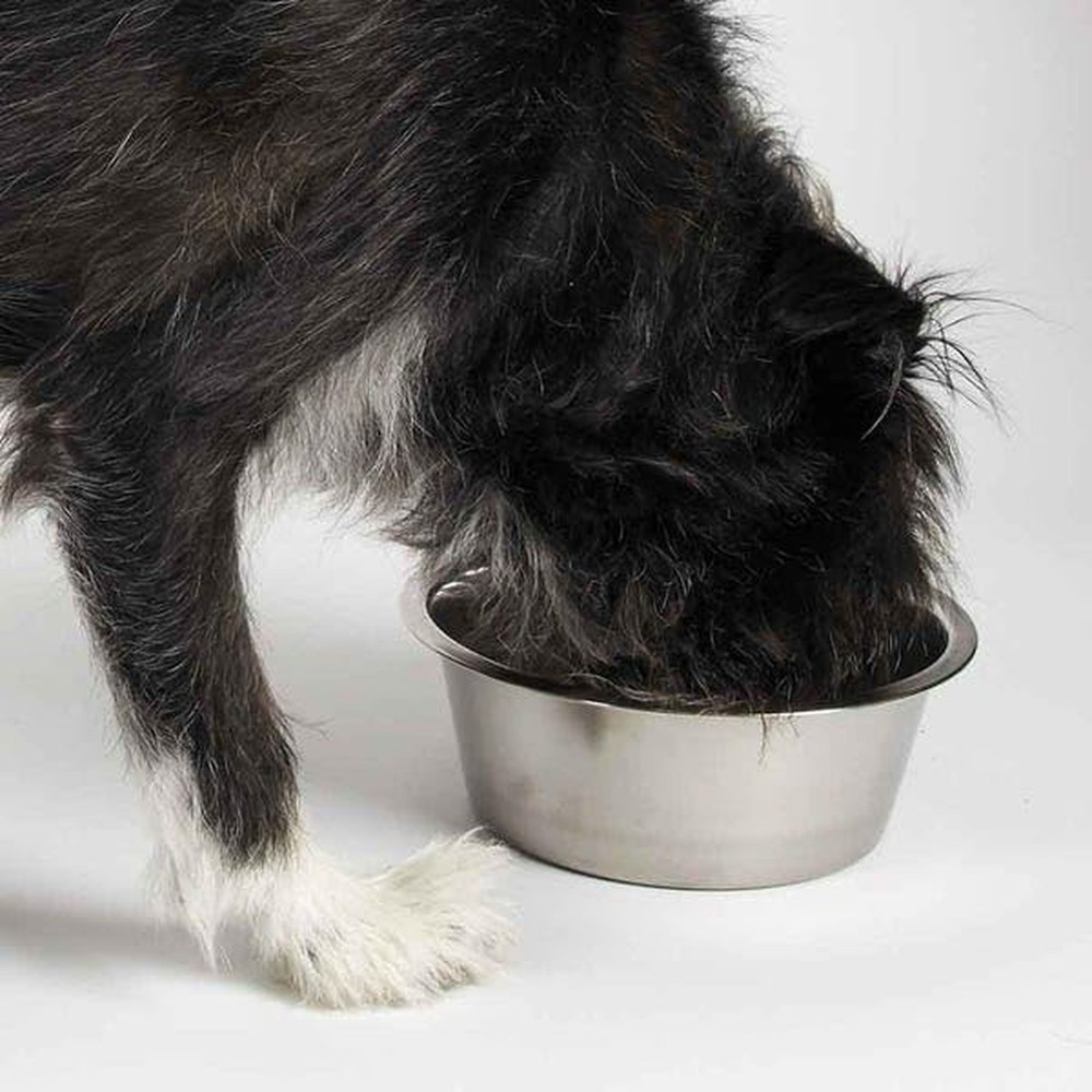 ProSelect Stainless Steel Classic Dog Bowl, 1-Quart 32oz