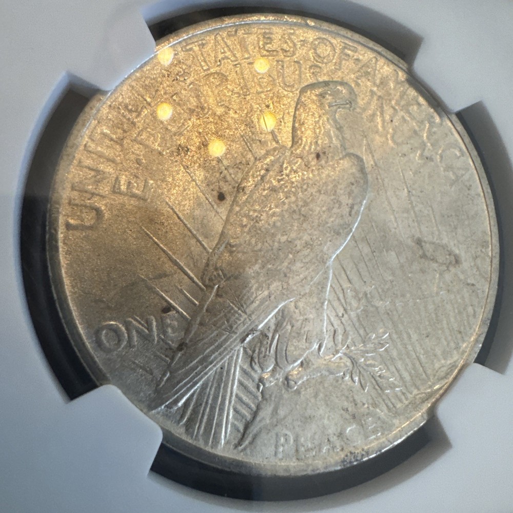 Peace Silver Dollar 1925 - 90% Silver Verified - NGC MS64