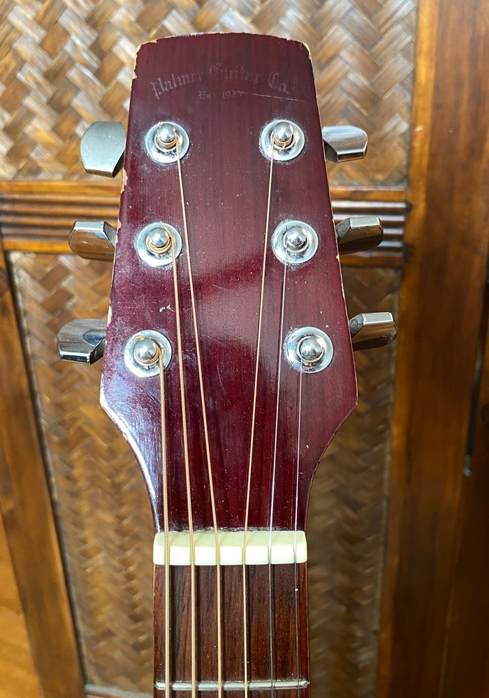VINTAGE PALMER Acoustic