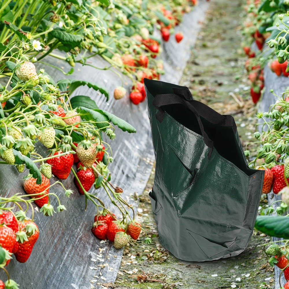 Strawberry Planting Bucket with MultiPocket for Efficient Gardening Use