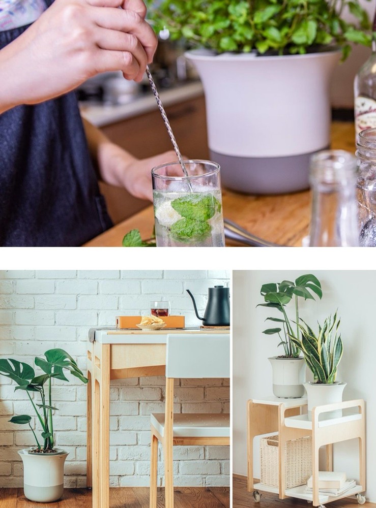 Wirelessly Autonomous Gardening Assistant
