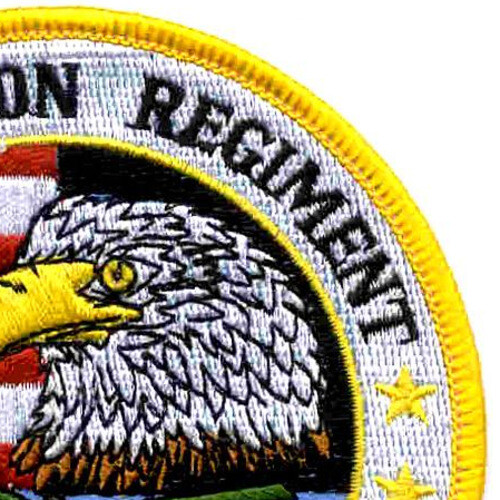 A Company 1st Squadron 101st Division Patch