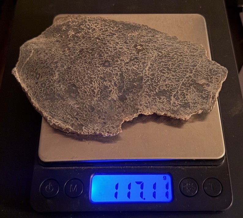 Polished Dinosaur Bone Slice Fossil Gemstone Display Specimen 117g