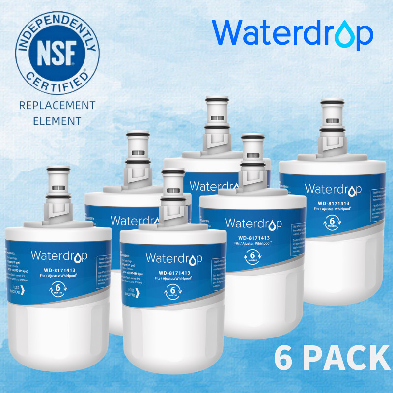 Waterdrop 8171413 Water Filter, Replacement for NLCS200, EDR8D1, Kenmore 46-9002