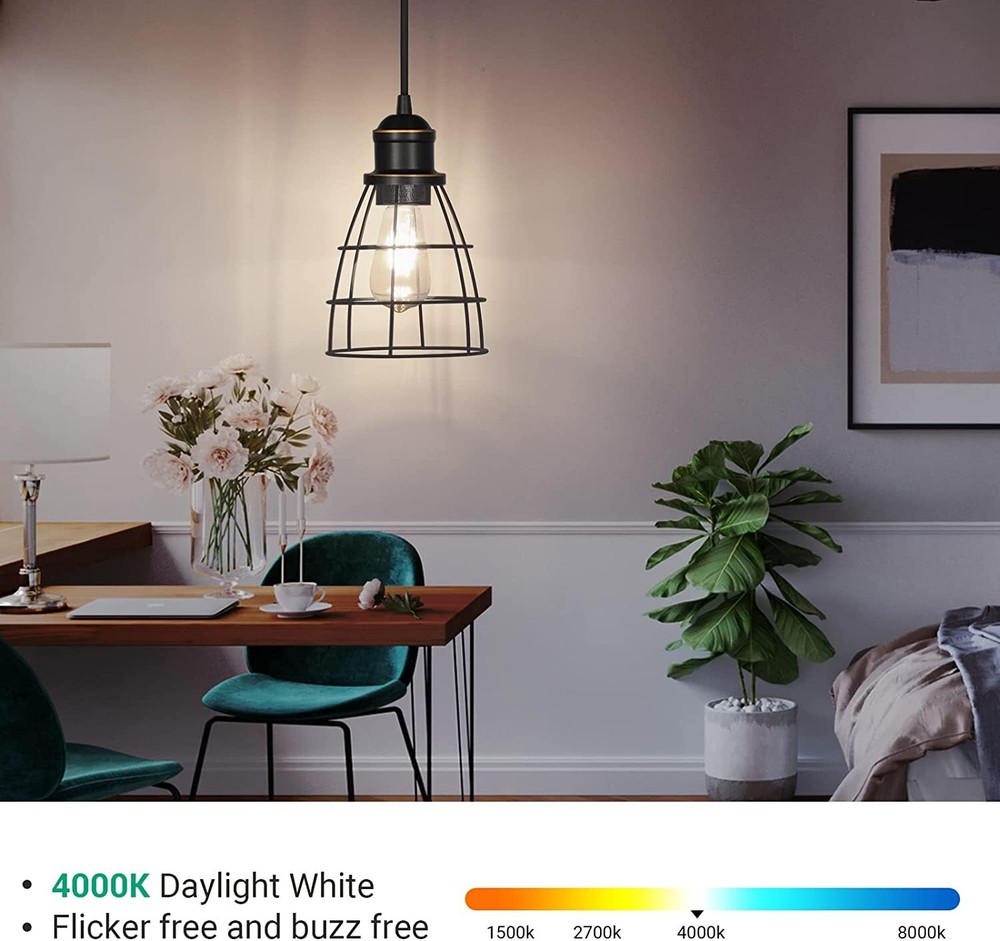 EDISHINE 4-Pack LED Edison Bulb,4000K Daylight White, ST19 Vintage Light Bulbs,