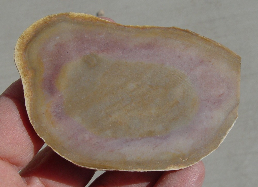 Texas Flint Lapidary Slab T1257