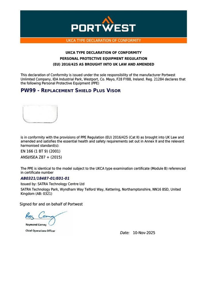 Portwest Replacement Shield Plus Visor Clear | PW99