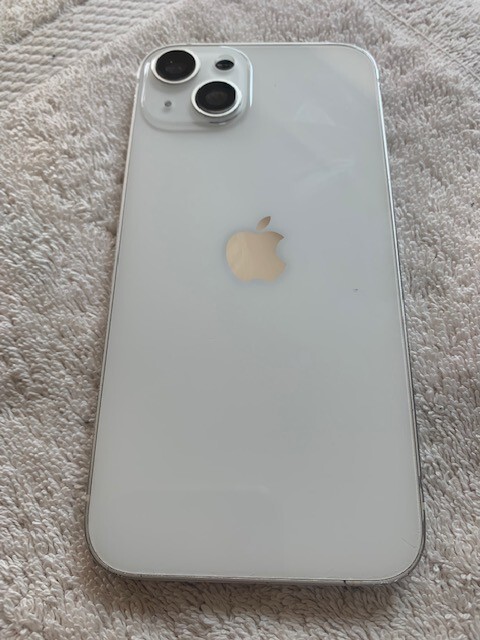 Apple iPhone 13 rear housing back glass chasis white( D )