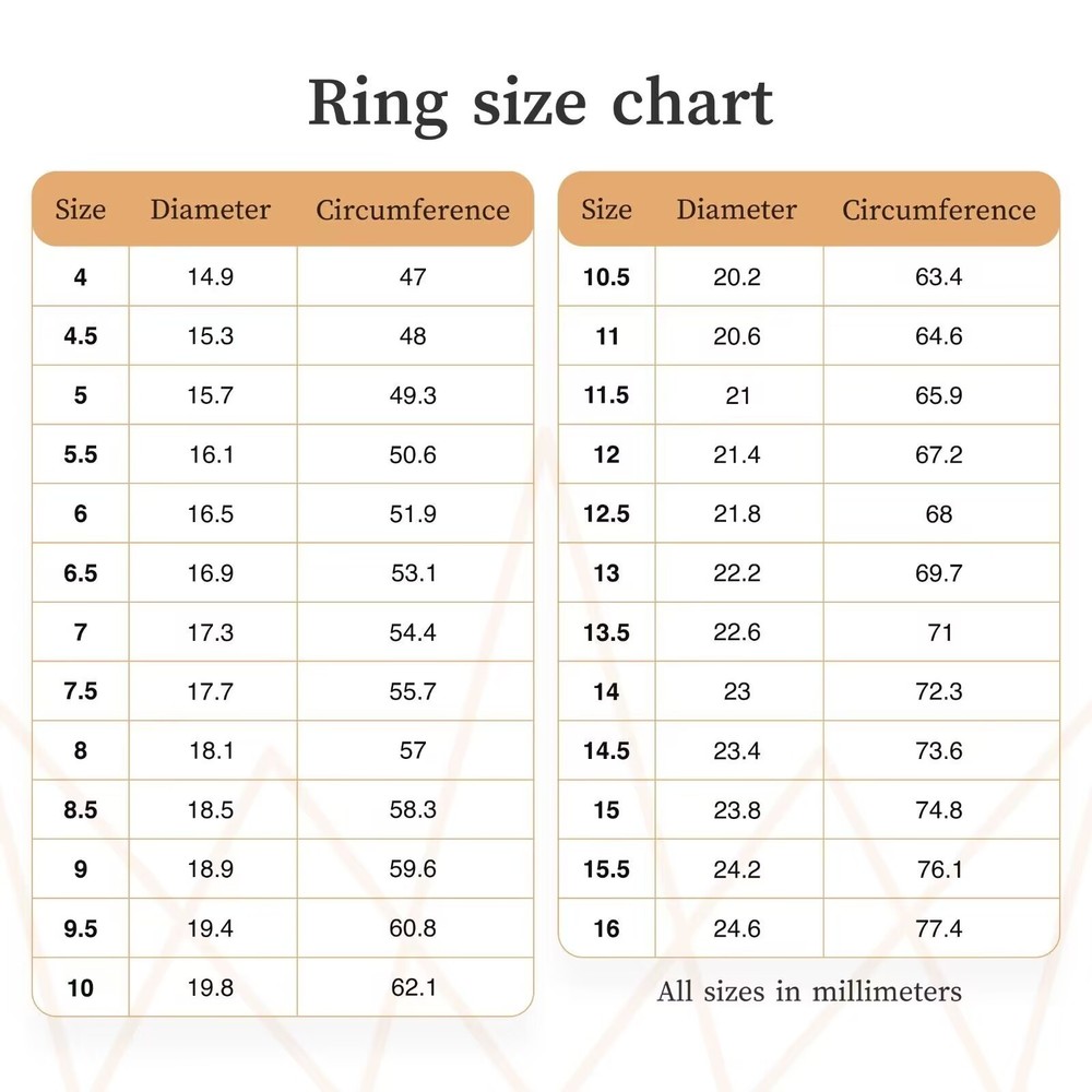 Meteorite Ring, Natural Muonionalusta meteorite,Personalized customization Ring