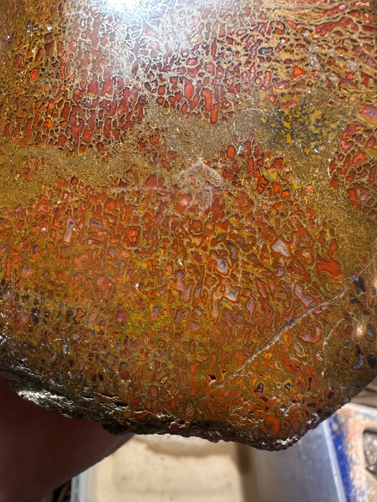 Dinosaur bone polished 3.5 lb large cell specimen.