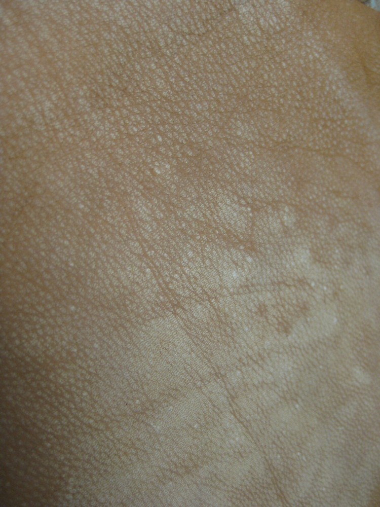 Buffed Deer Leather #0012993 Row 81