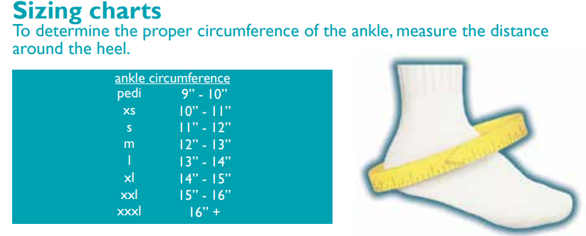 Supinator PTT Stabilizer