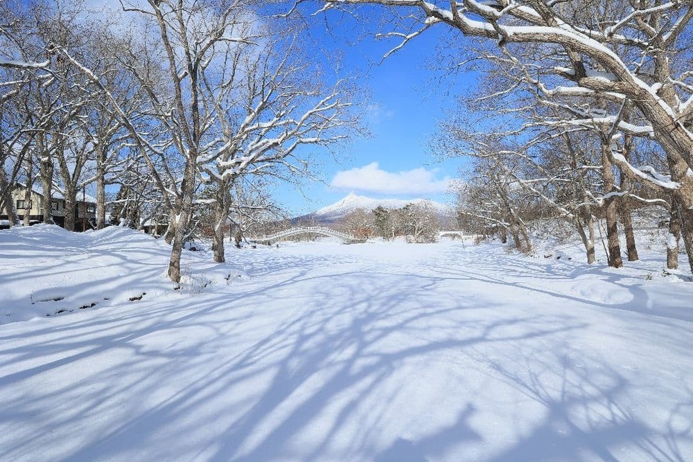 Canon EF 20 F2.8 USM [Defective]