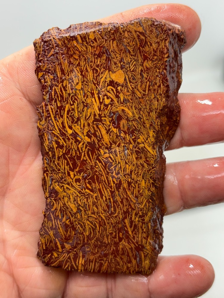 Script Stone Jasper Slab Cabbing Lapidary Collecting Combo Ship Avail